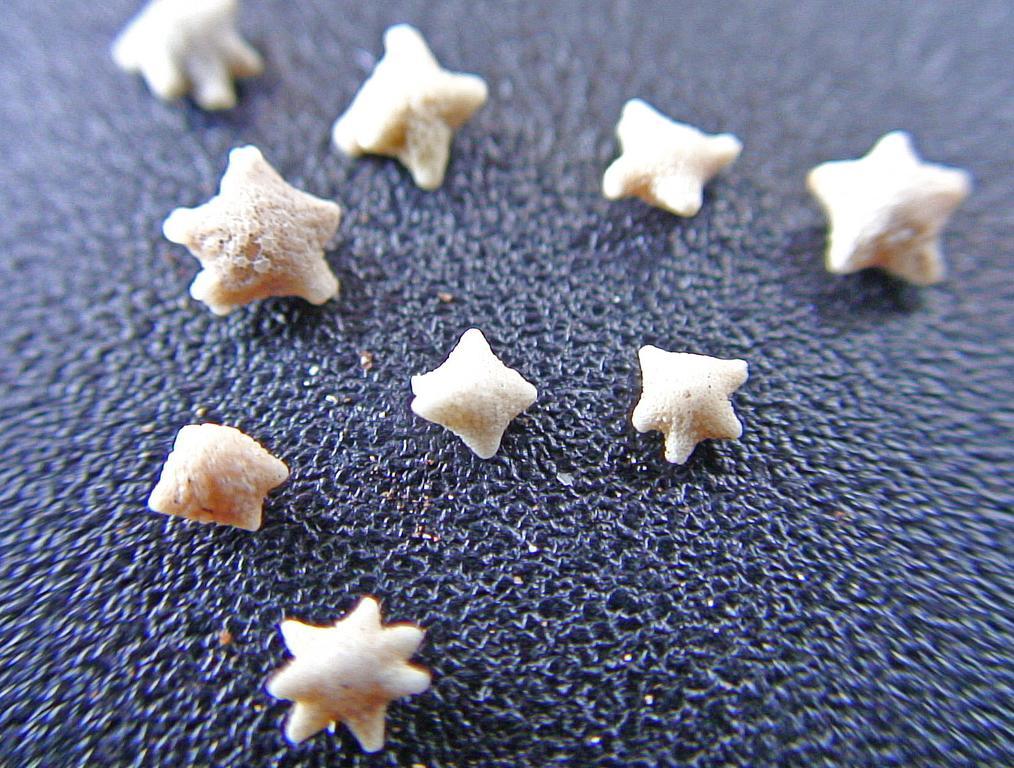 Star Sand Beach Resort Sekotong Ngoại thất bức ảnh